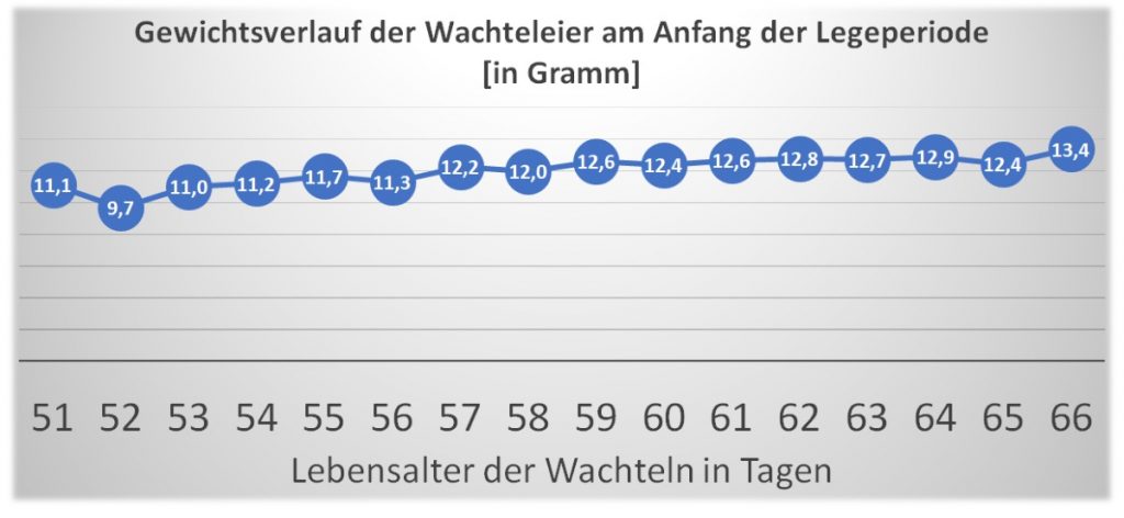 Gewicht der Eier in den ersten Wochen