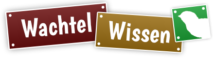 Wachtel Wissen Logo