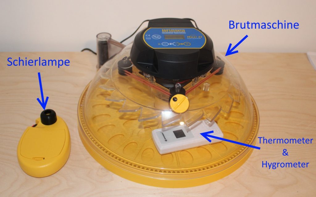 Zubehör zum Ausbrüten von Wachteln