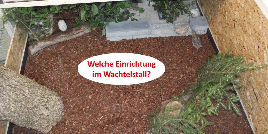 Einrichtung im Wachtelstall