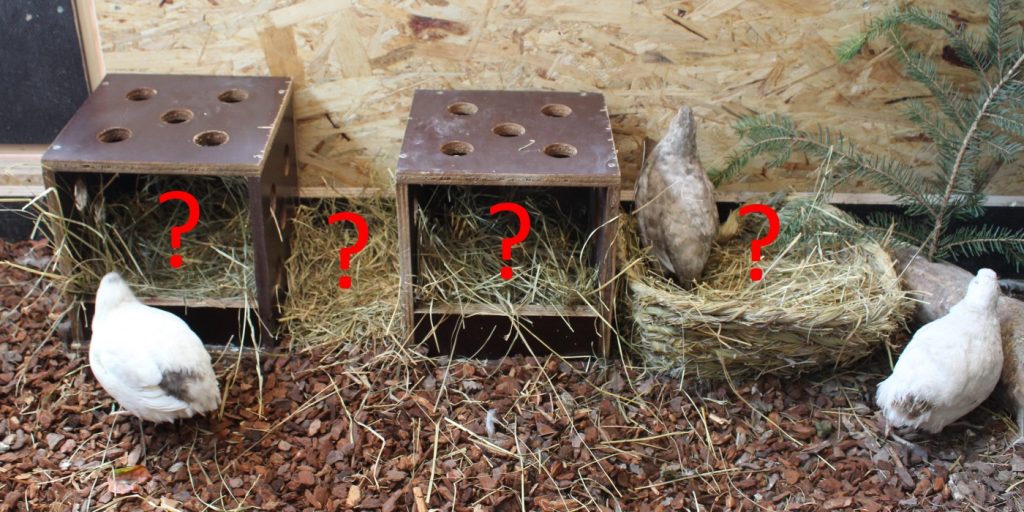 Die Legeleistung der Wachteln in typischer Hobbyhaltung Praxisversuche